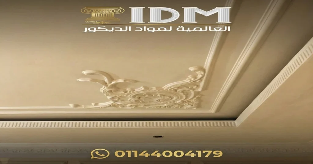 سياسة الخصوصية – IDM الأصلي