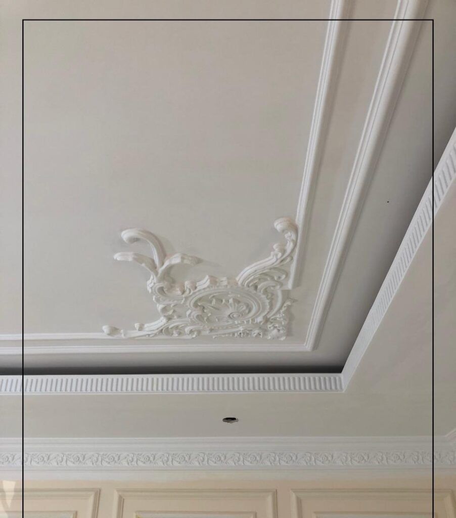 أفضل اماكن بيع كرانيش فيوتك 2026 – 2025