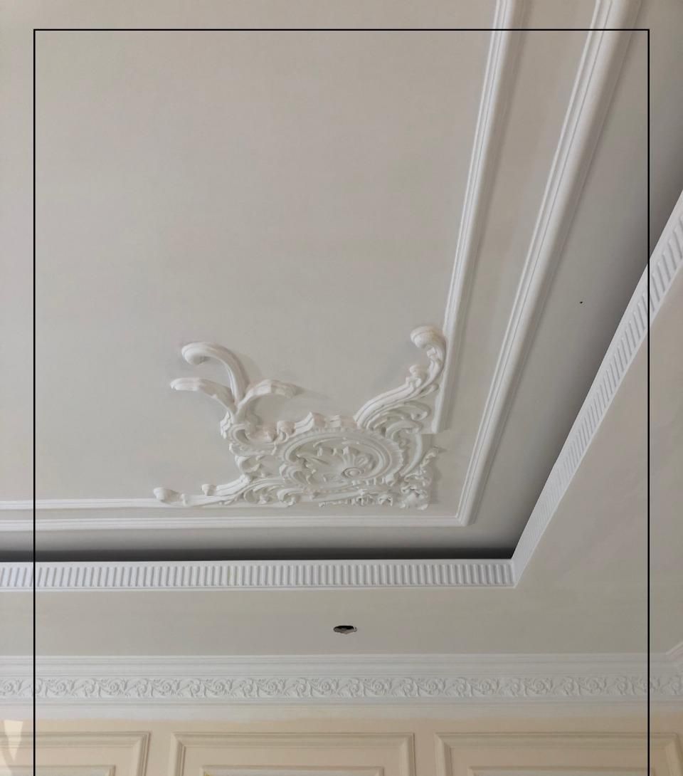 أفضل اماكن بيع كرانيش فيوتك 2026 – 2025