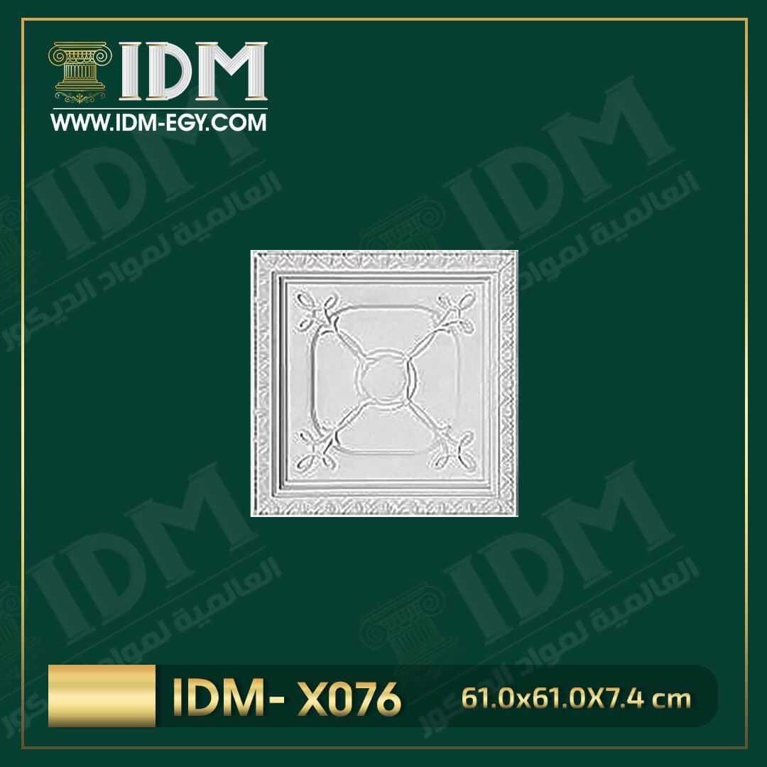 IDM-X076