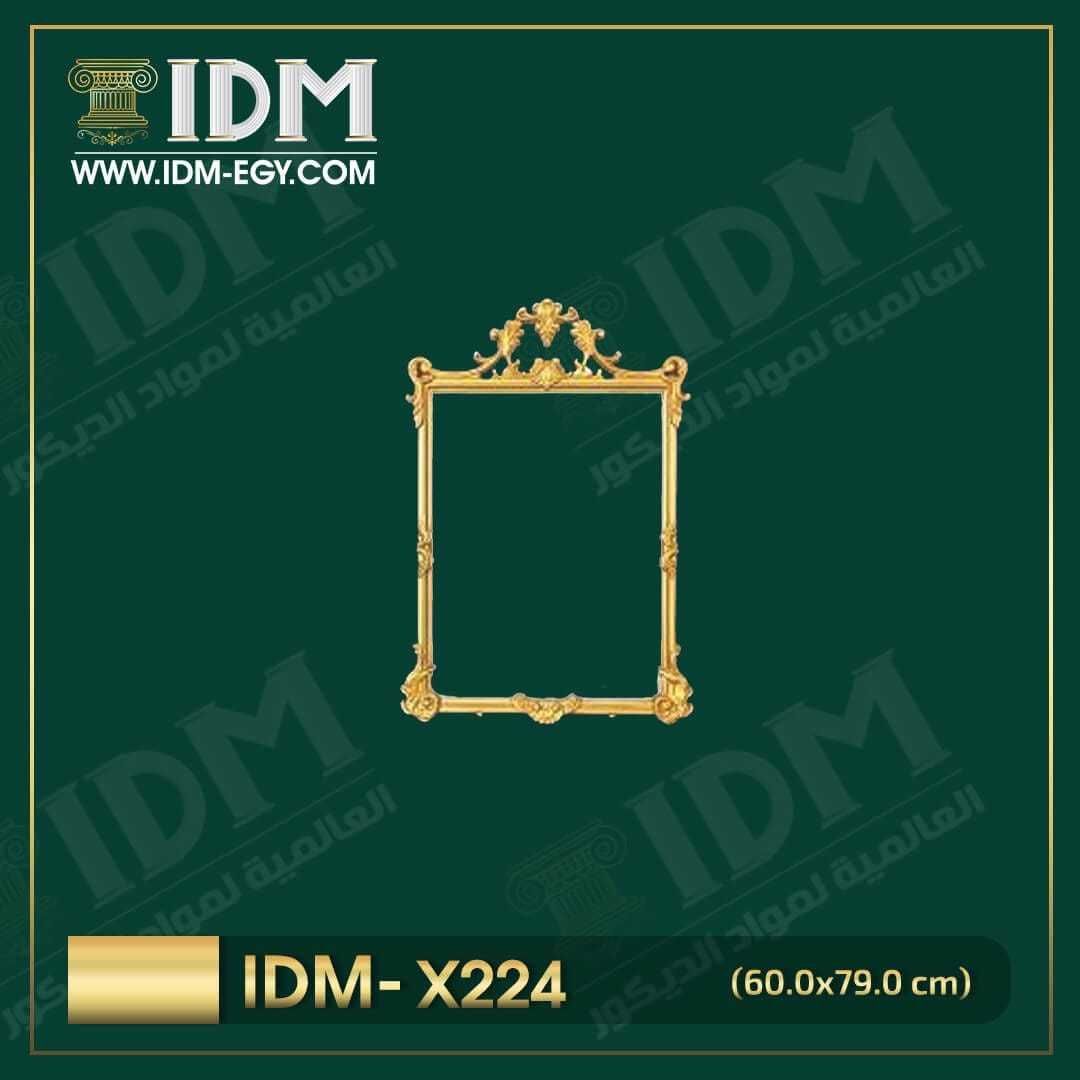 IDM-X224